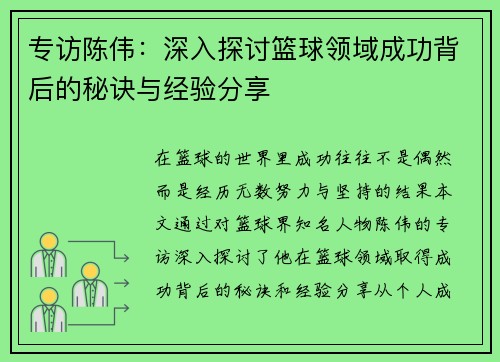 专访陈伟：深入探讨篮球领域成功背后的秘诀与经验分享